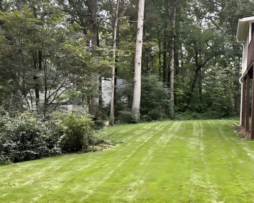 Sod Installation